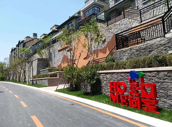 惠斯勒項(xiang)目